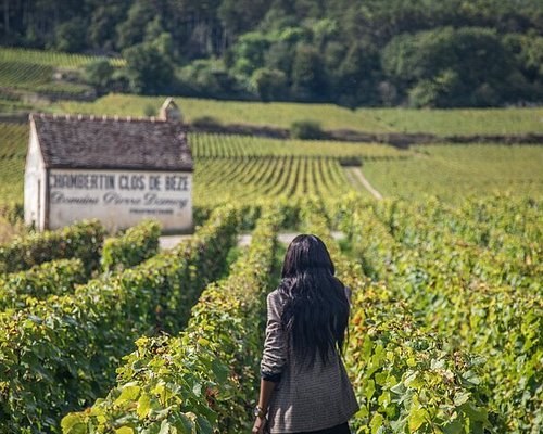 Beaune: Private Day in Burgundy's Wine Capital & the Hôtel-Dieu
