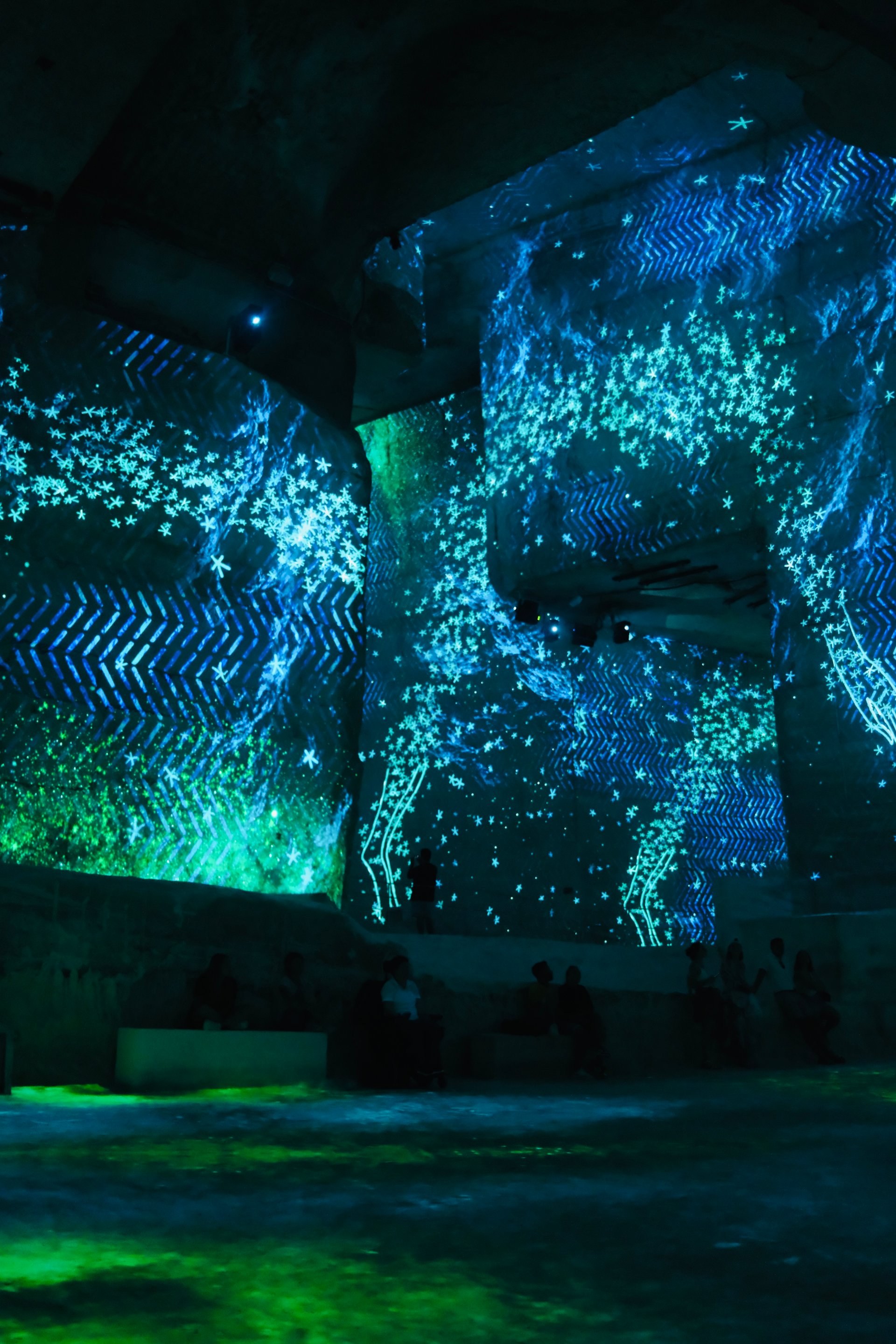 Les Baux-de-Provence & Carrières de Lumières: Village & Immersive Art