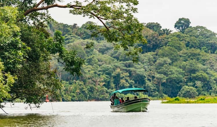 Private Panama Canal & Gatun Lake Boat Tour with Monkey Island