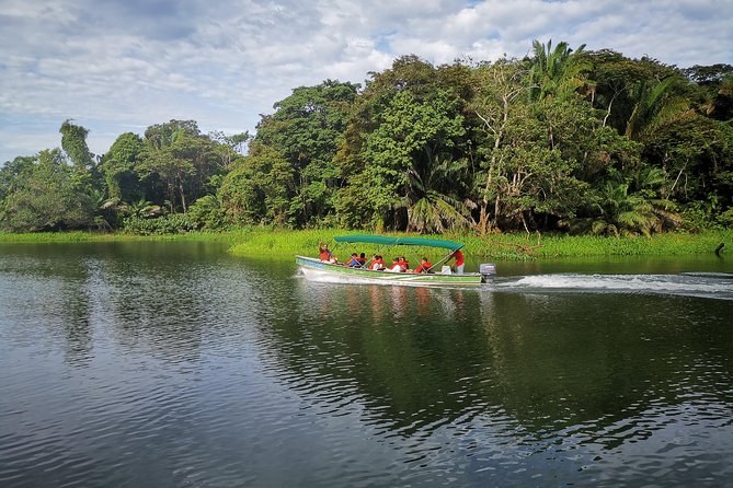 Sloth Safari & Wildlife Boat Tour on Gatun Lake