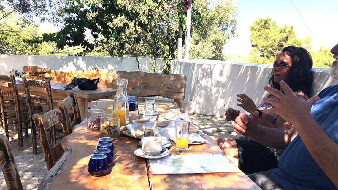 Family Olive Grove: Premium Olive Oil Tasting & Harvest Experience