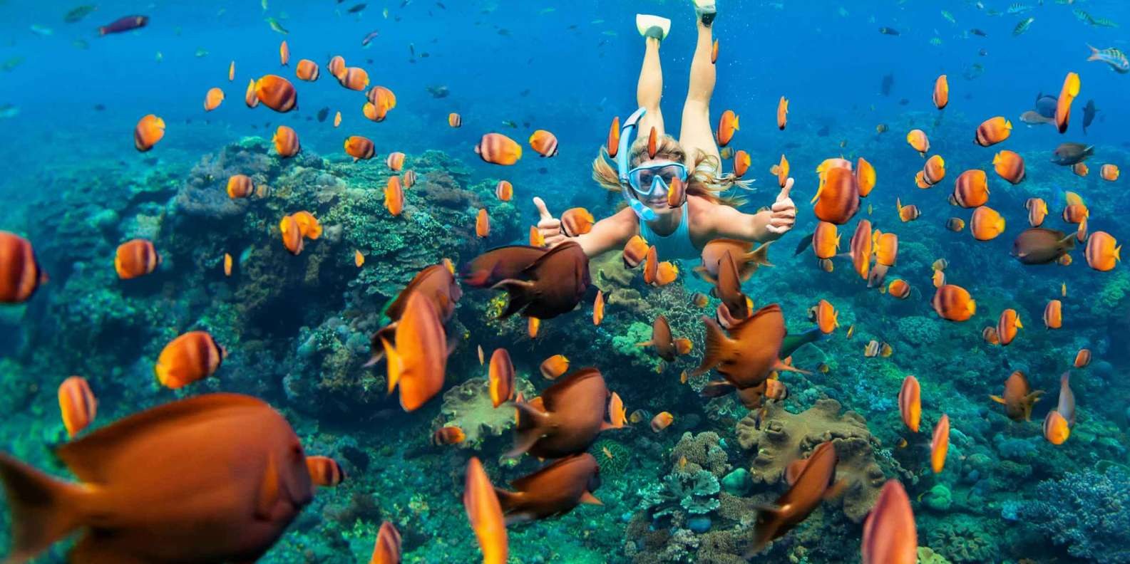 St. Croix Buck Island Reef: Private Snorkel Sail to an Underwater Trail