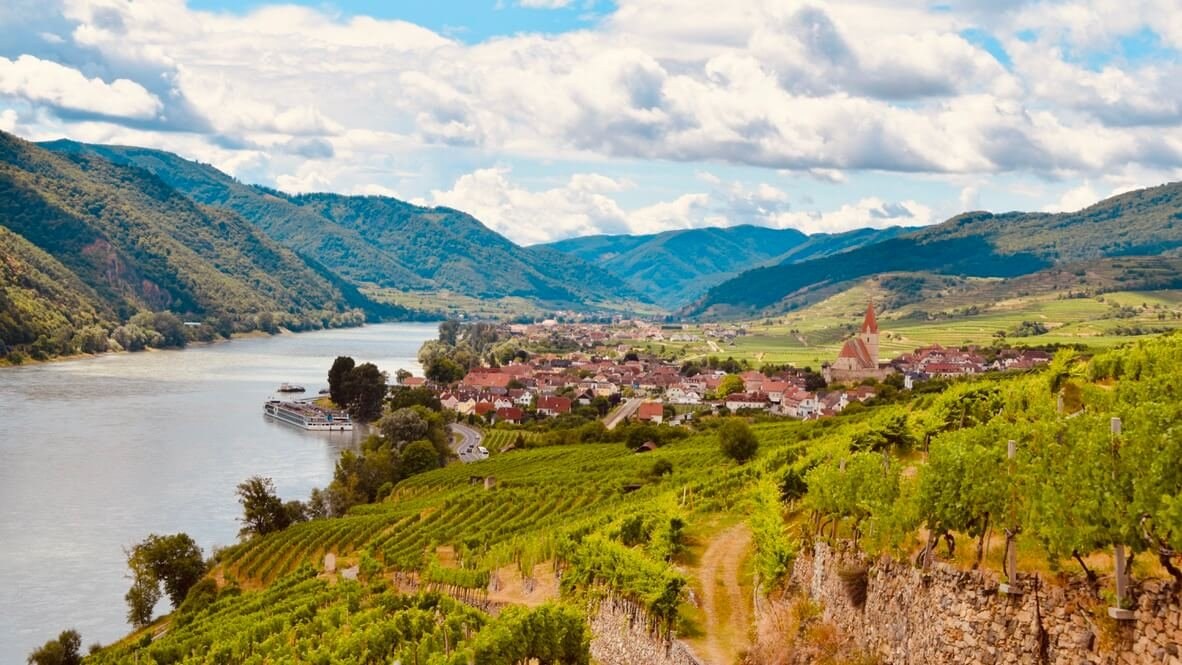 Wachau Valley: Private Apricot Orchard & Wine Estate Tour