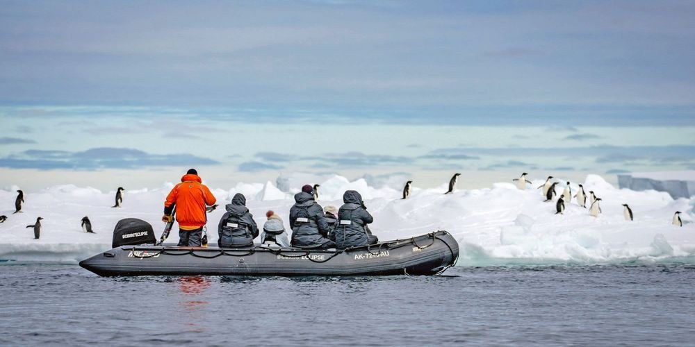 Private Zodiac Expedition to Penguin Rookeries & Icebergs