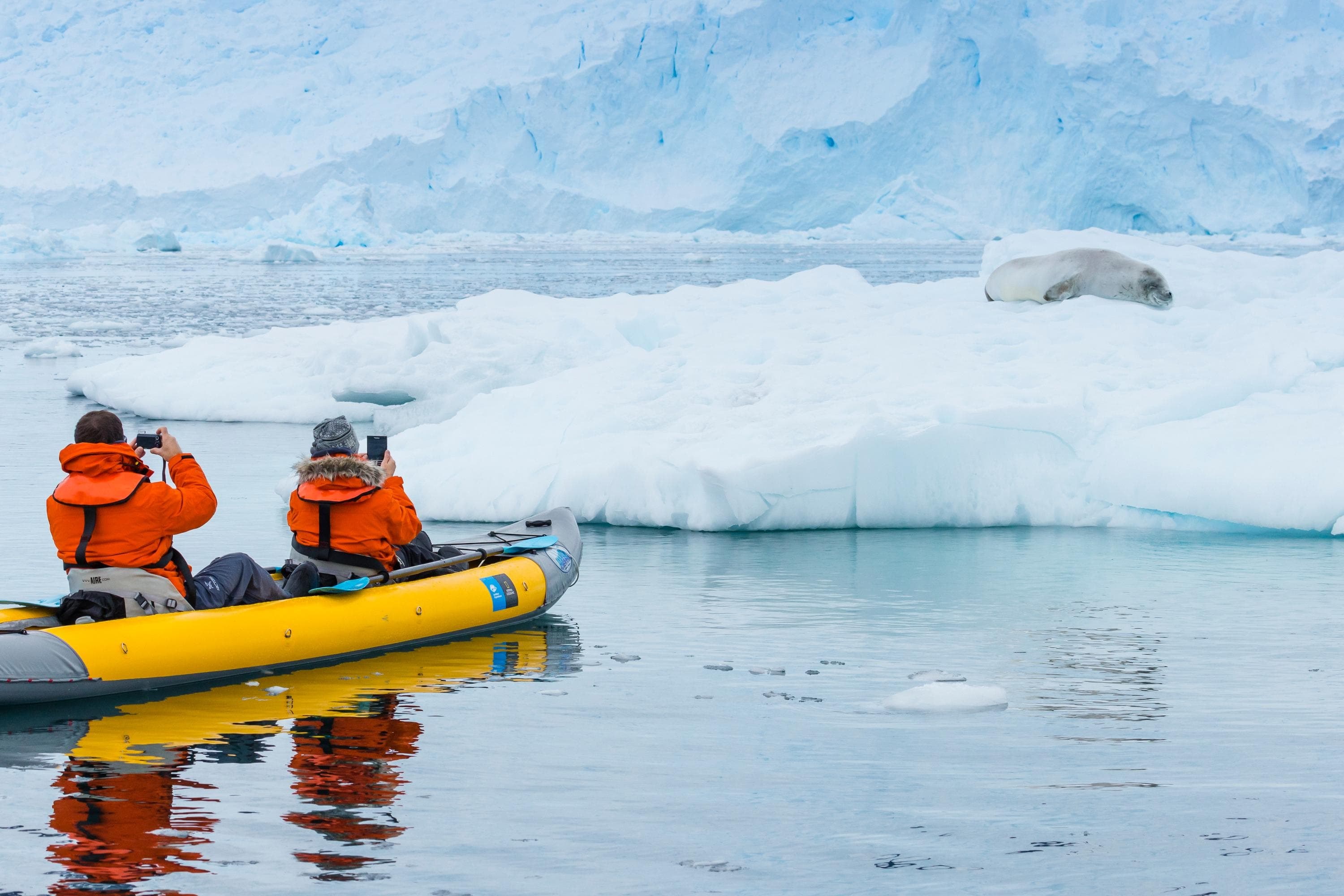 Sea Kayaking Among Antarctic Pack Ice & Wildlife