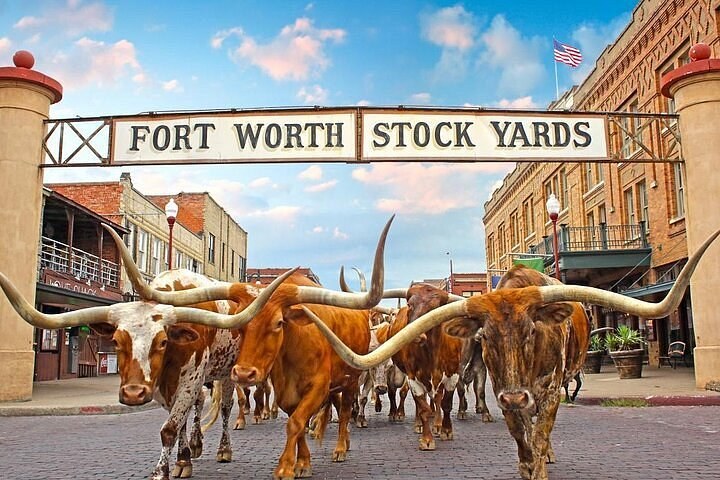 Fort Worth Heritage & Landmarks Private Van Tour (3 Hours)