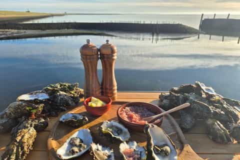 Private Zeeland Waterways Speedboat Tour with Beach Lunch