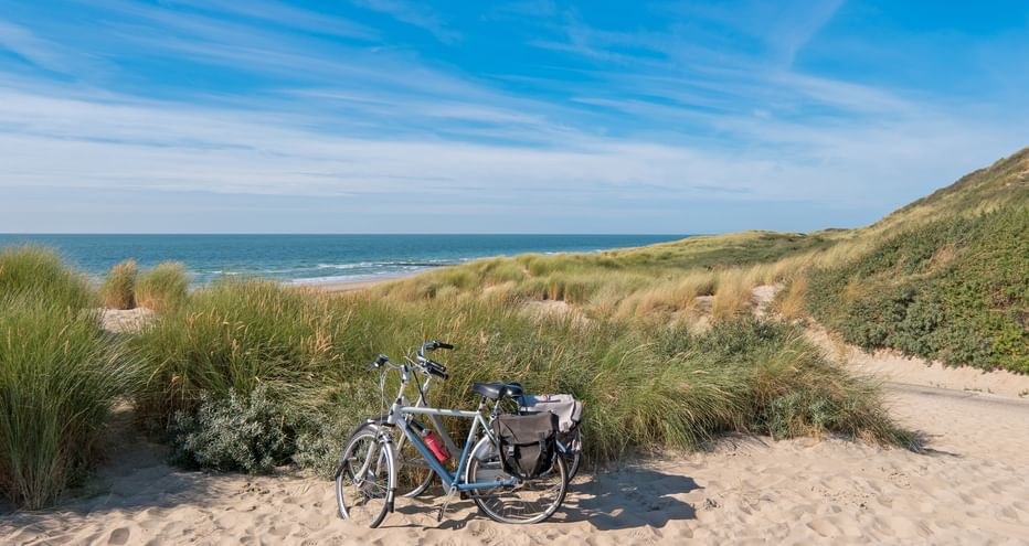 Cycling the Walcheren Coastal Dyke: Private Guided E-Bike Adventure