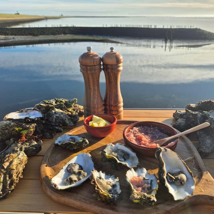 Zeeland Oyster & Mussel Tasting: Private Farm-to-Table Experience