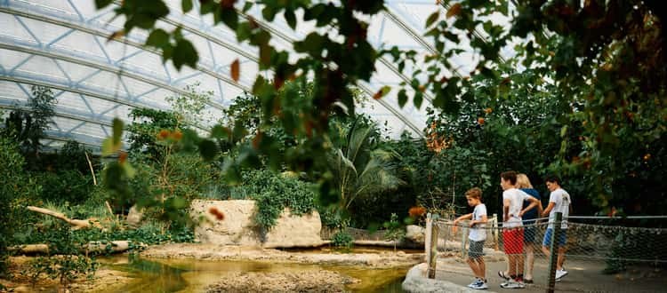 Burgers' Zoo: World-Class Safari & Immersive Biome Experience