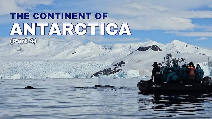 Private Zodiac Iceberg Expedition into Kangikitsok Fjord