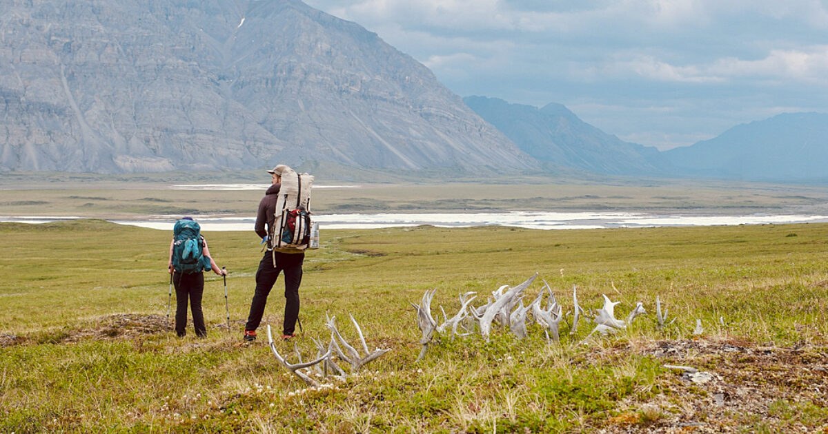 Guided Tundra Hike & Arctic Wildflower Walk with Local Naturalist