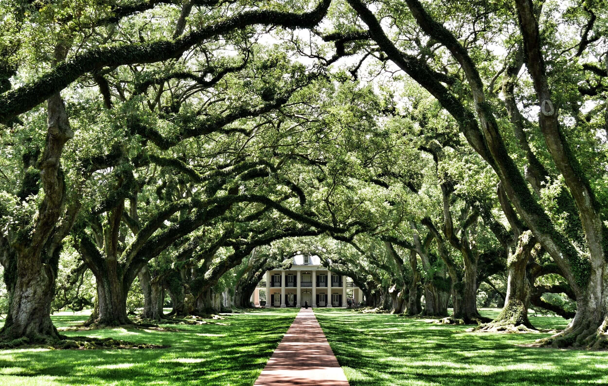 Soul of NOLA: Private Garden District & Oak Alley Plantation Tour
