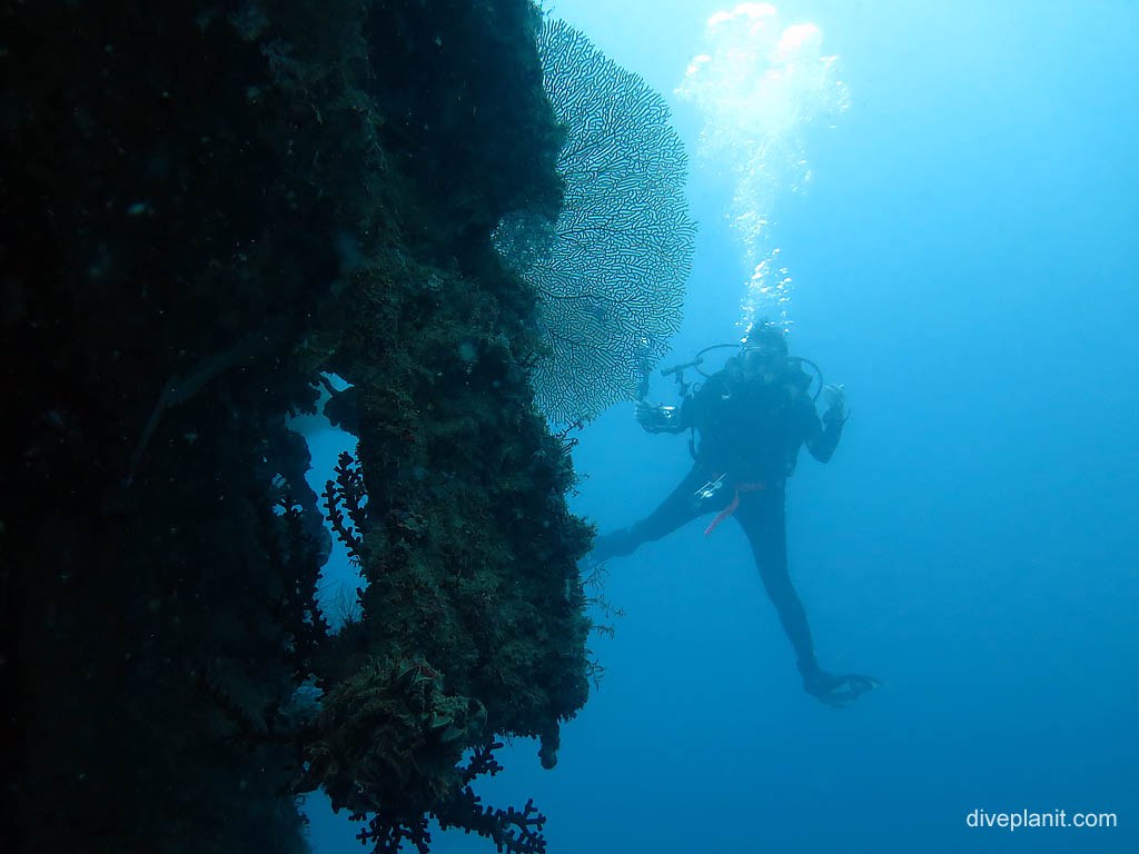 Bonegi Beach WWII Wreck Dive: Japanese Landing Ships