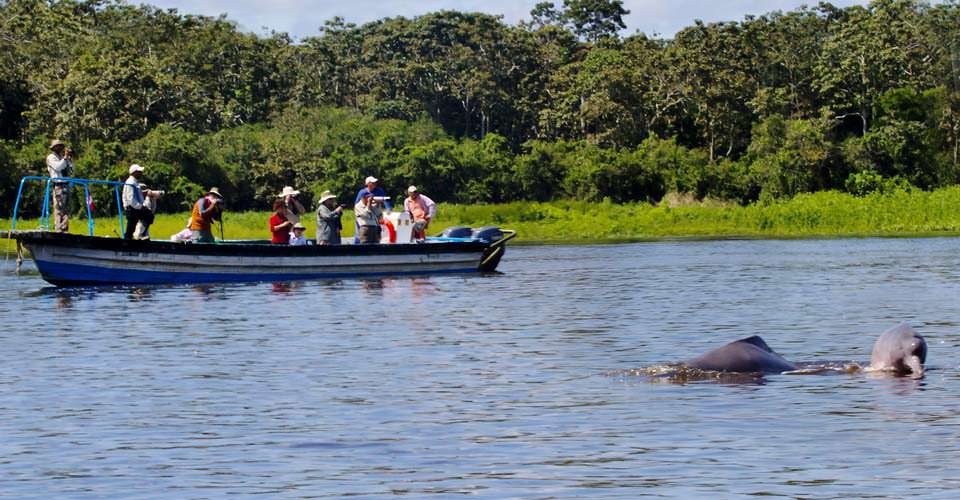 Pink River Dolphin & Flooded Forest Skiff Expedition