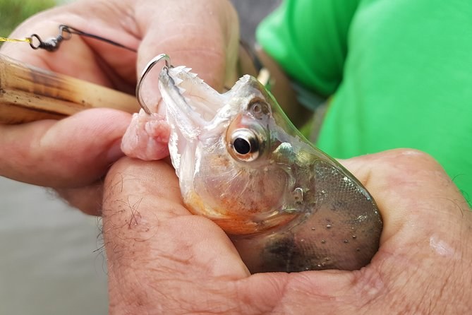 Piranha Fishing & Indigenous Village Immersion on the Solimões