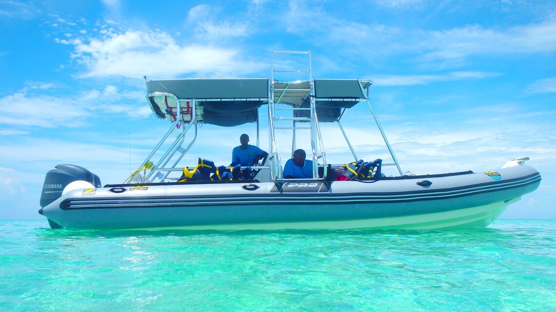 Abaco Rigid Hull Snorkeling Adventure: Adults-Only Reef Voyage