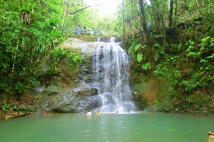 Suva, Fiji: Private Rainforest Waterfall & Kava Ceremony with a Chief