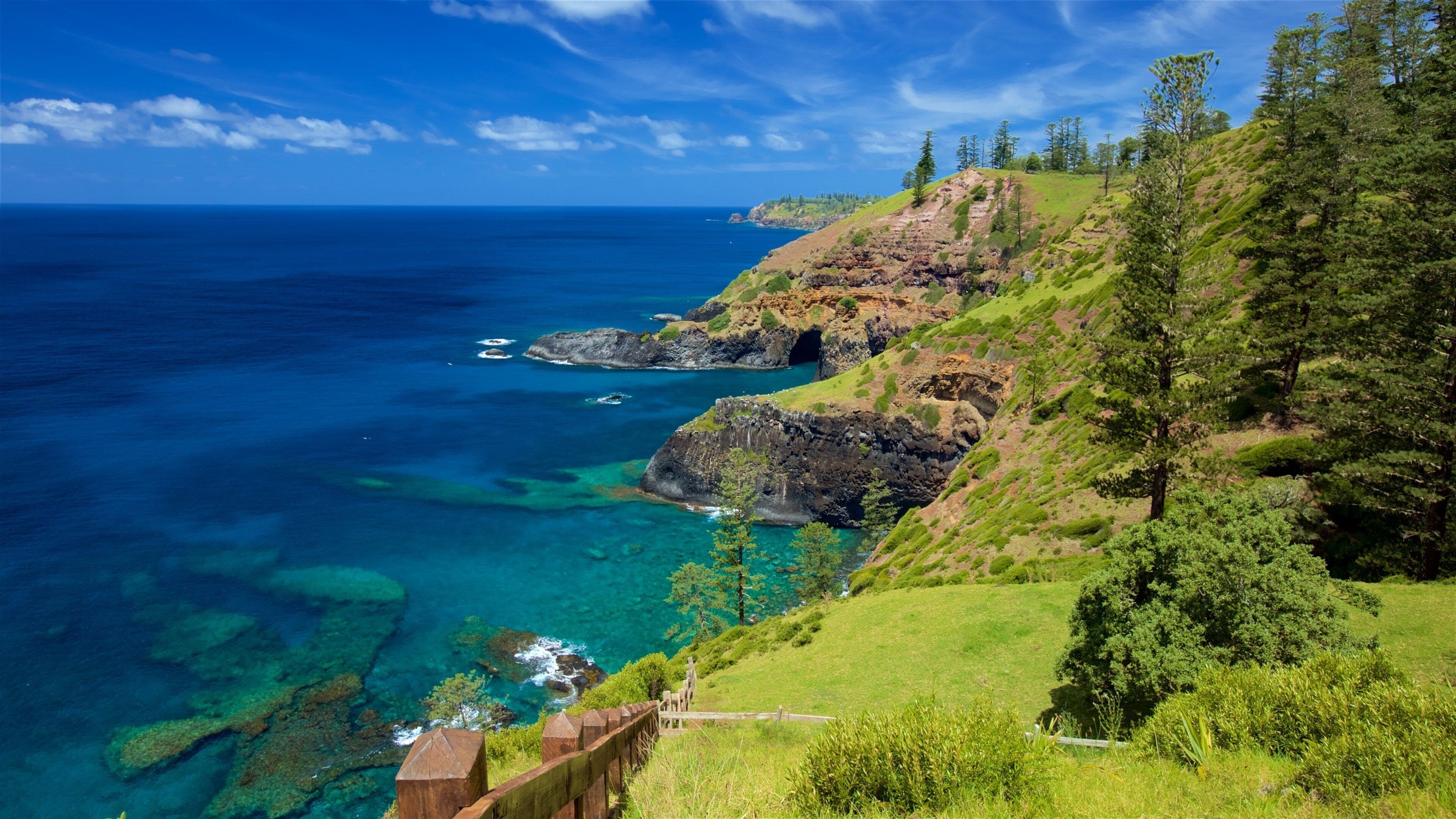 Norfolk Island National Park Clifftop Walk: Pines, Palms & Pacific Panoramas