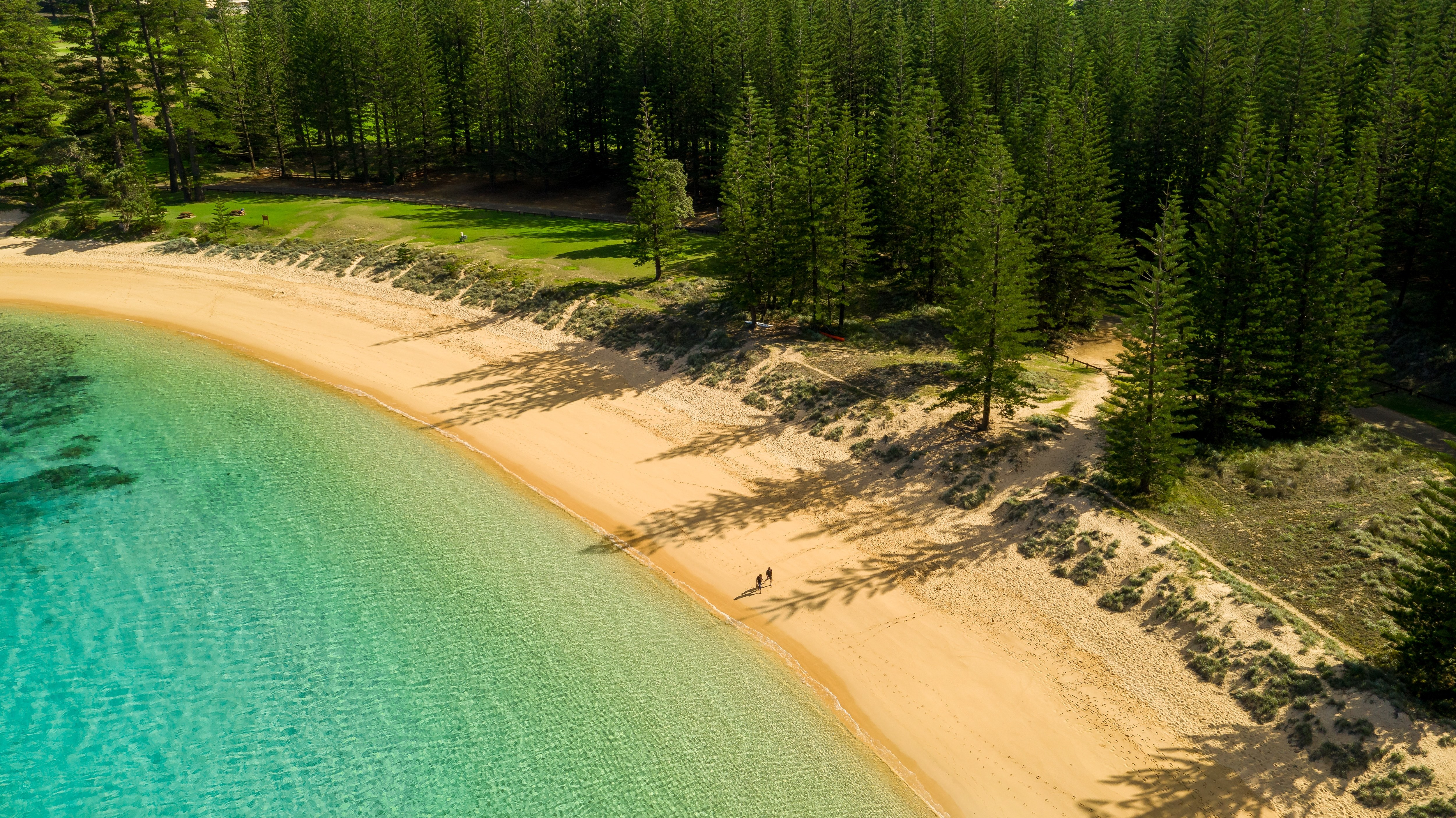 Taste Norfolk Island: Wine, Produce & Culinary Heritage of the Pacific's Secret Island