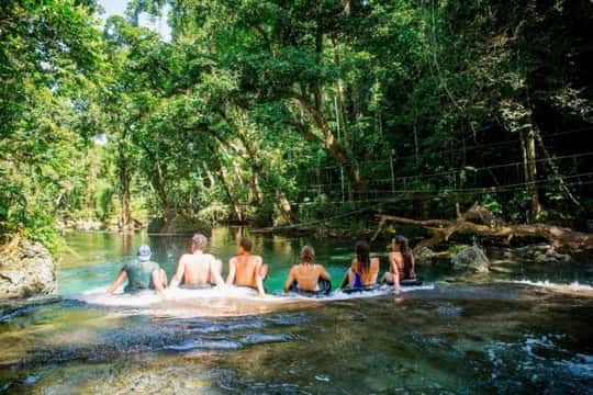 Blue Holes of Santo — Private Freshwater Plunge Tour