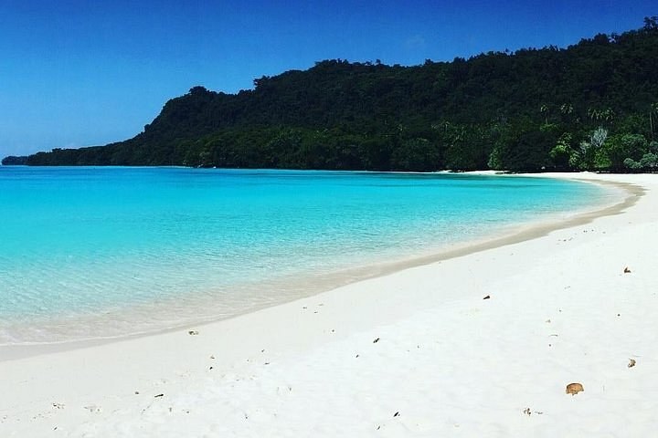 Full-Day Santo Grand Tour: Blue Holes, Champagne Beach & Million Dollar Point