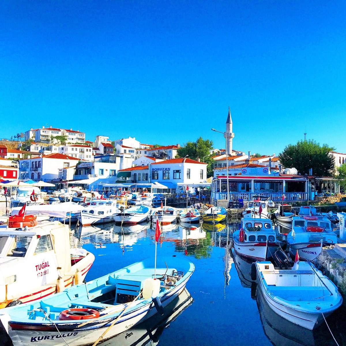 Bozcaada Chora Walk, Meyhane Lunch & Local Seafood Masterclass