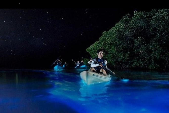Bioluminescent Bay Night Kayak: Puerto Rico (Vieques)