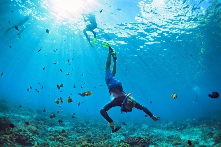 Grenada Underwater Sculpture Park: Private Snorkel Dive