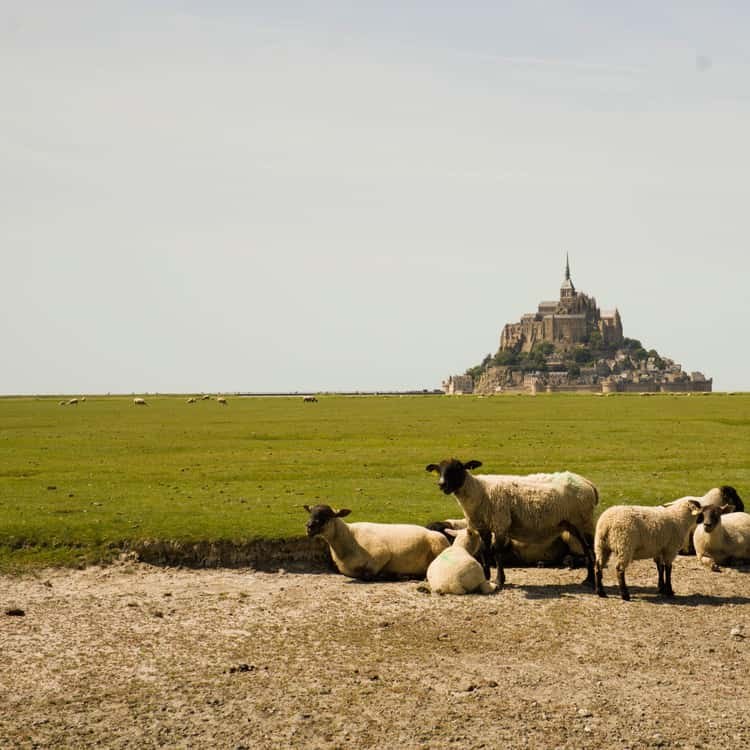 Private Mont-Saint-Michel Full-Day Tour from Rouen
