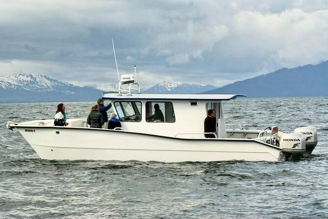 Icy Strait Whale & Wildlife Private Catamaran Charter