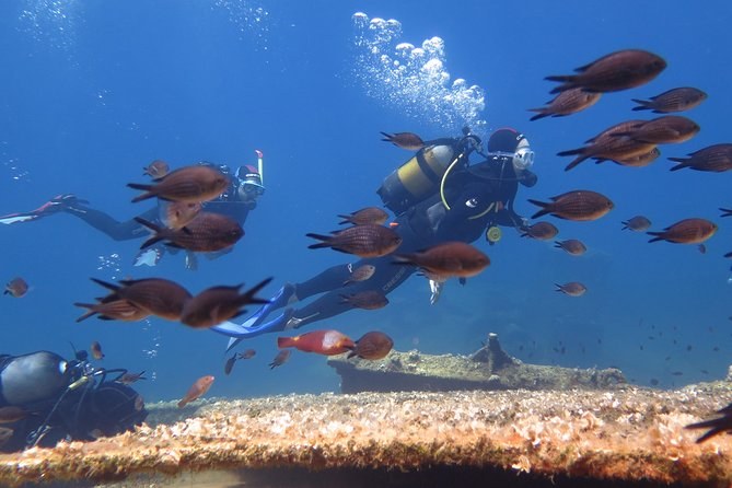 Scuba Diving the Underwater Canyons of Amorgos