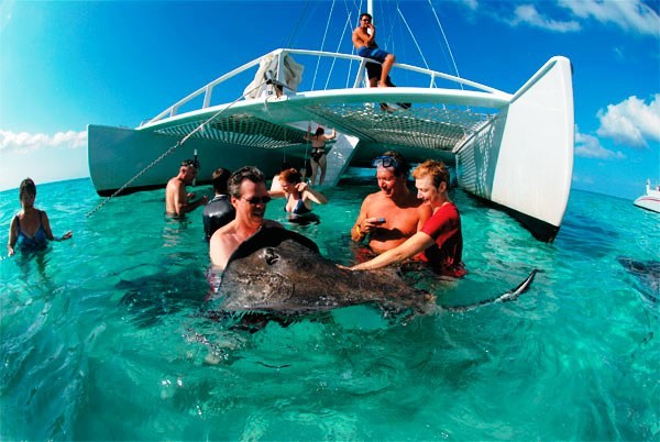 Private Catamaran Sail to Stingray City & Coral Gardens