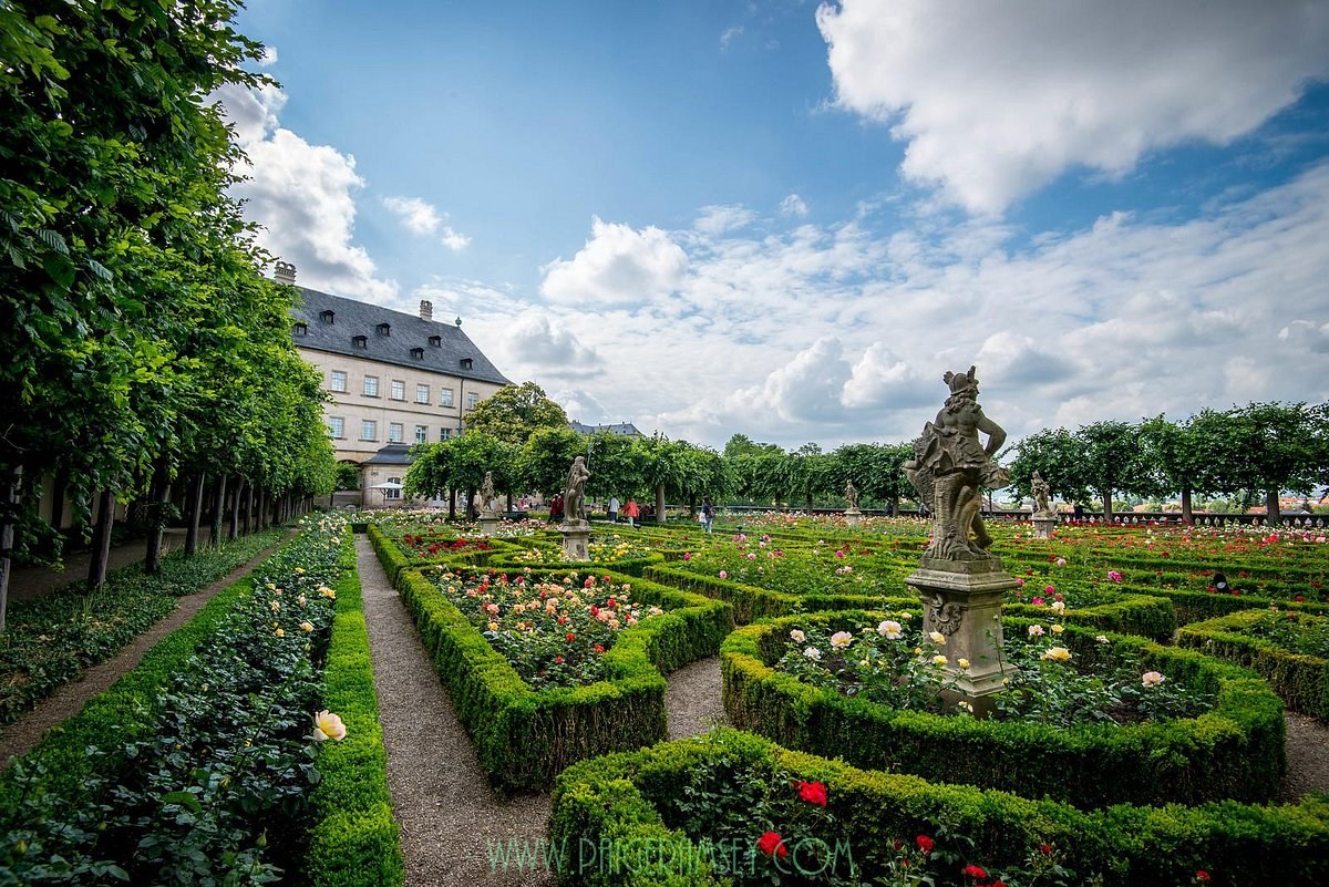Neue Residenz & Rose Garden: Imperial Palace in Full Bloom
