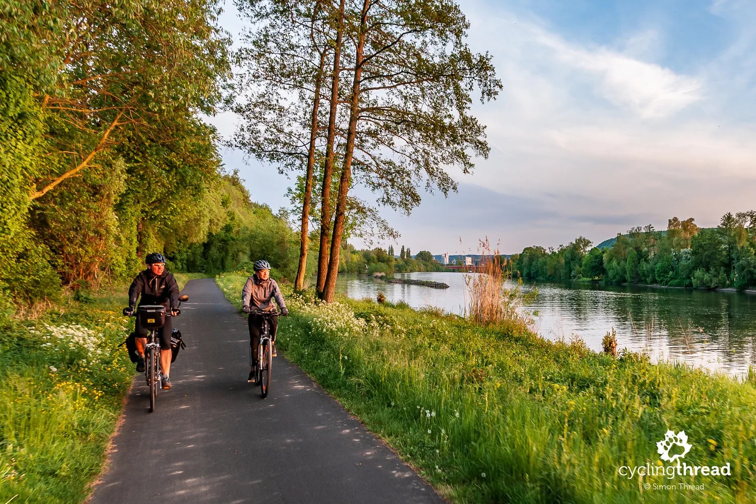 Main River Valley: Private Scenic Cycling Tour Through Franconian Vineyards