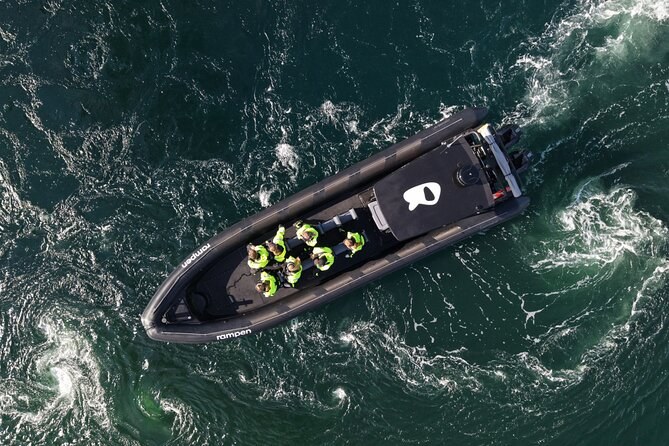 Saltstraumen: Private RIB Zodiac & Sea Eagle Safari