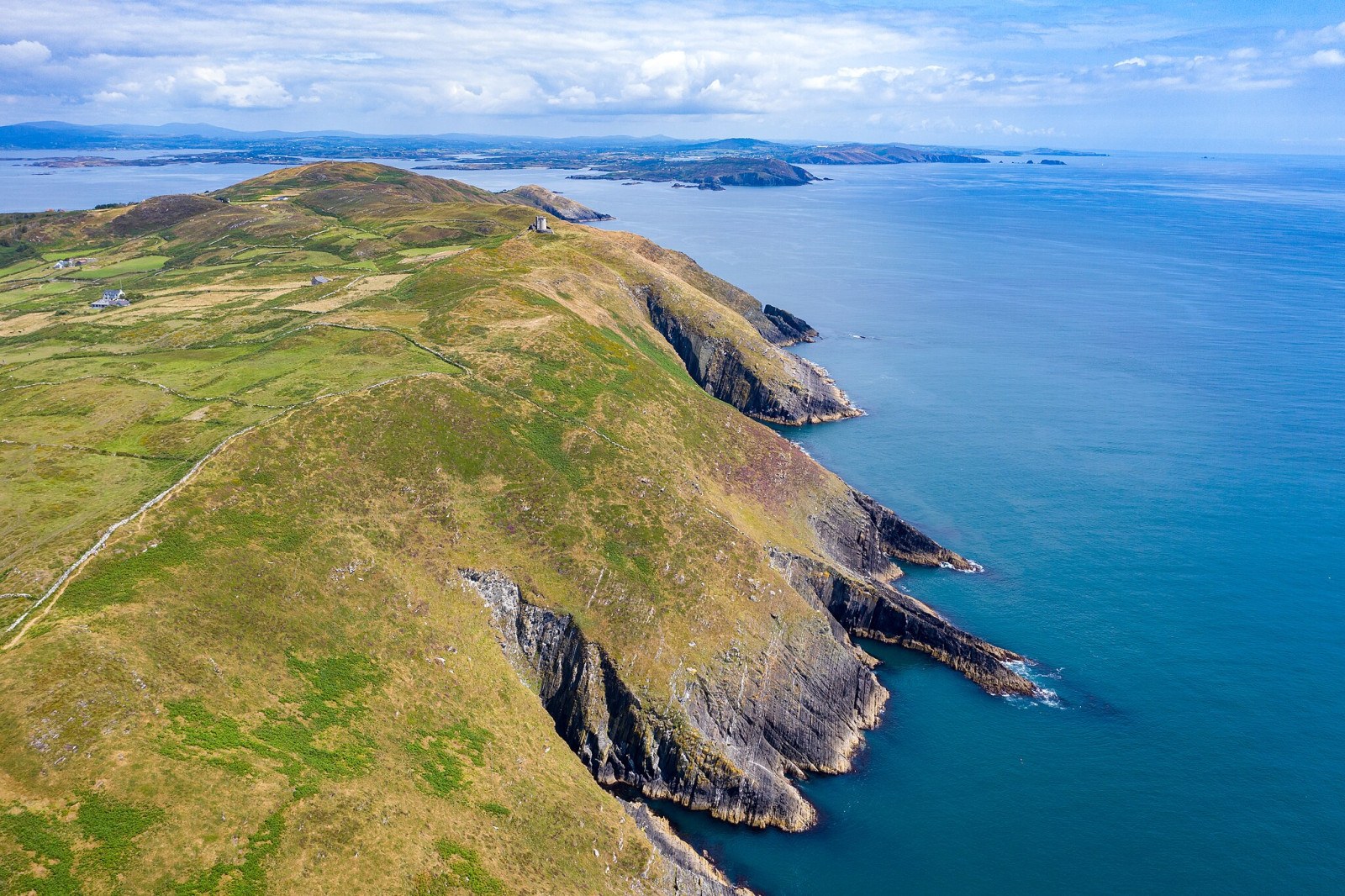 Cape Clear Island: Premium Birdwatching with Expert Naturalist
