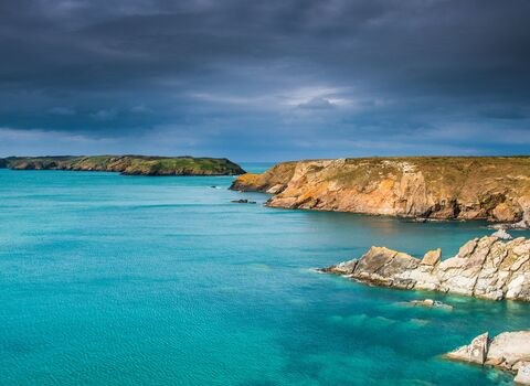 Freshwater West & Stackpole Estate: Private Coastal Photography & Nature Drive