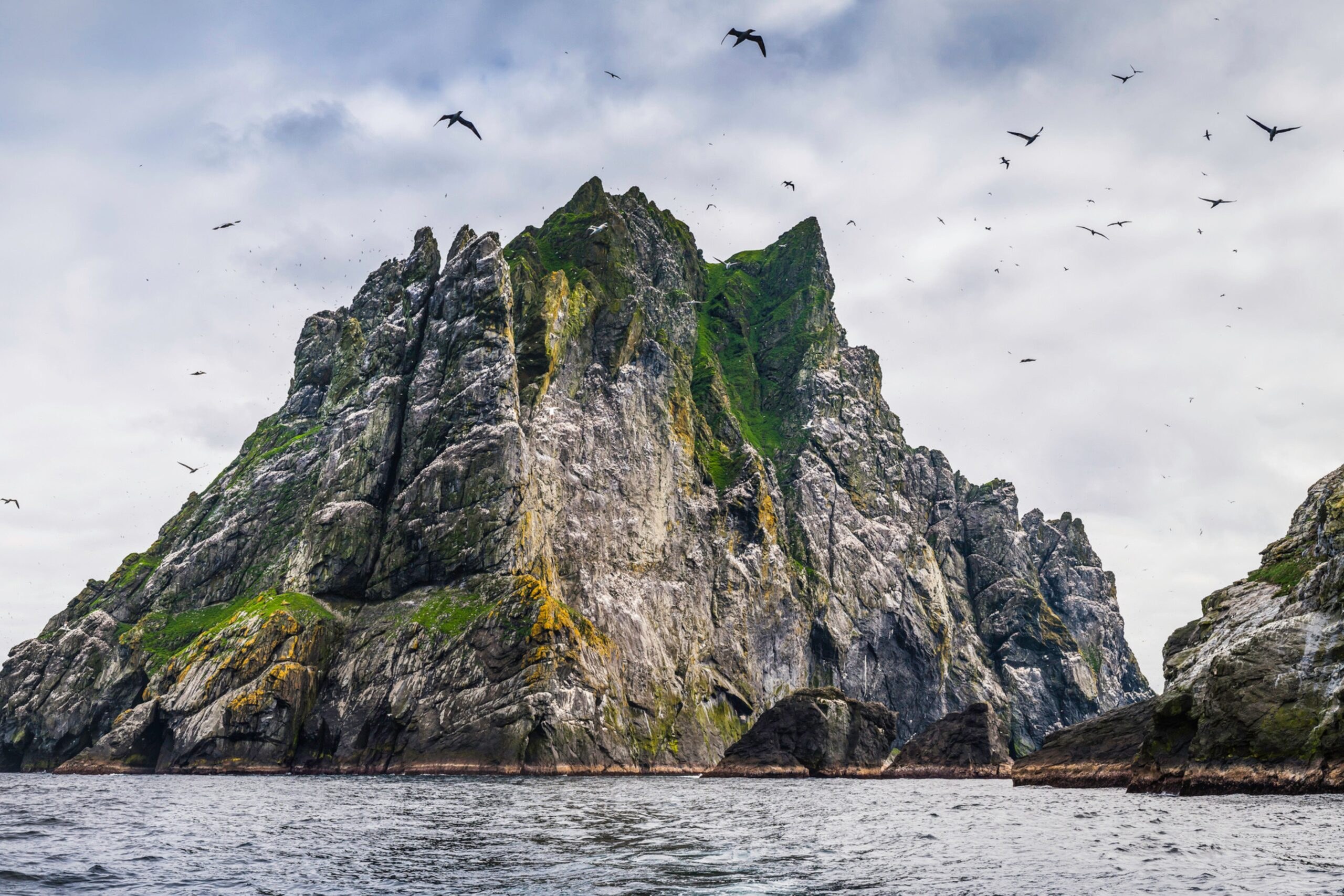 Seabird Safari: Puffin & Gannet RIB Expedition, St. Kilda Cliffs