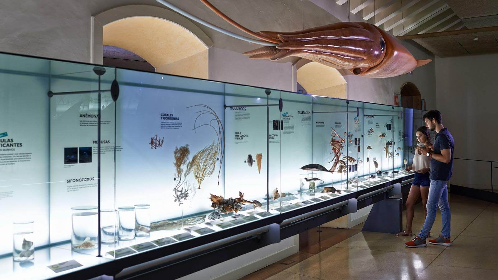 Museum of Nature & Archaeology (MUNA): Tenerife's Guanche Civilisation