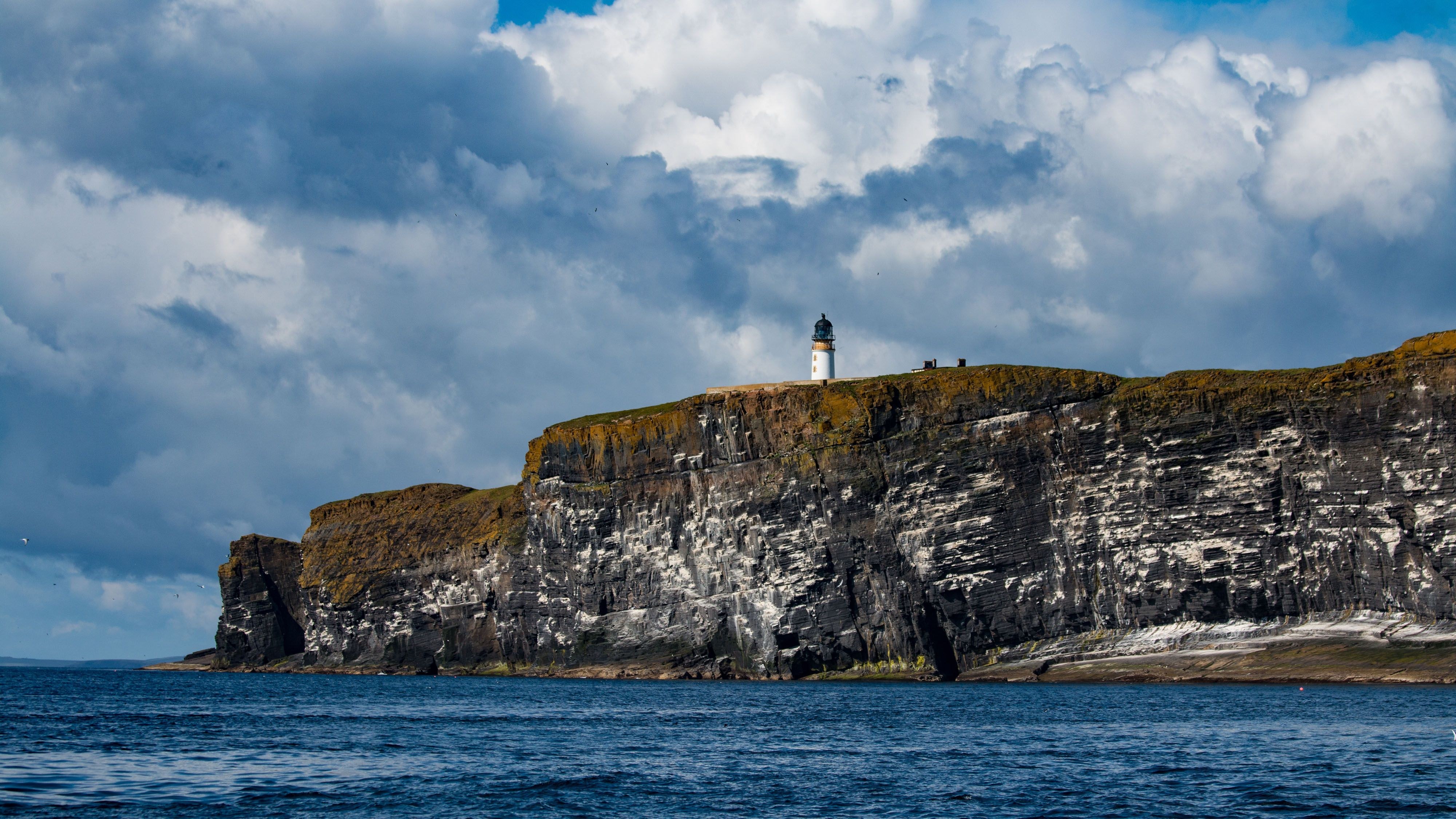 Copinsay Seabird Colony: Private Zodiac Landing & Guided Walk