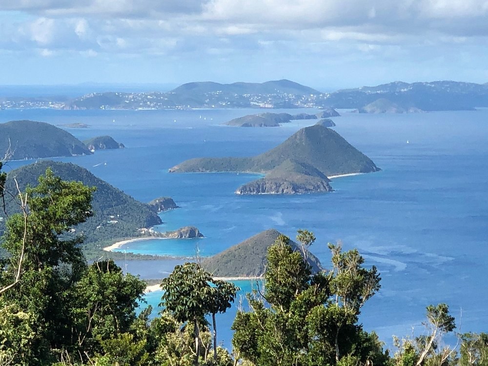 Sage Mountain National Park: Guided Rainforest Hike