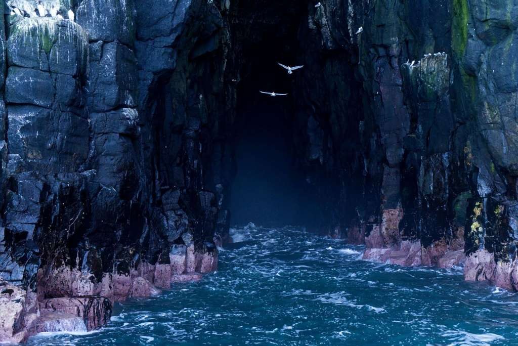 Robert the Bruce's Cave: Guided History Walk