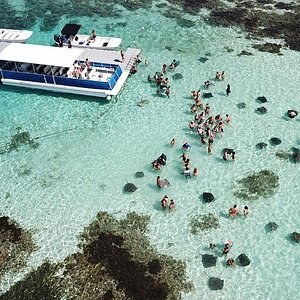 Stingray City Antigua: Private Small-Group Encounter