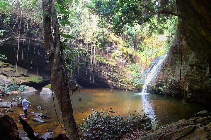 Mt. Agou Summit Trek & Kpalimé Rainforest: Togo's Rooftop Adventure