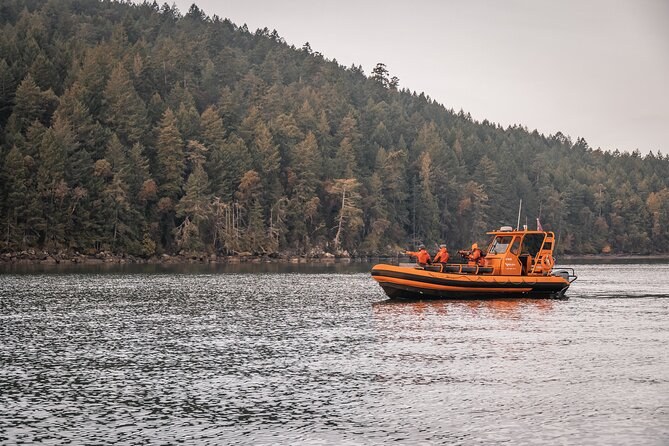 Whale Watching Open-Boat Expedition from Nanaimo Harbour
