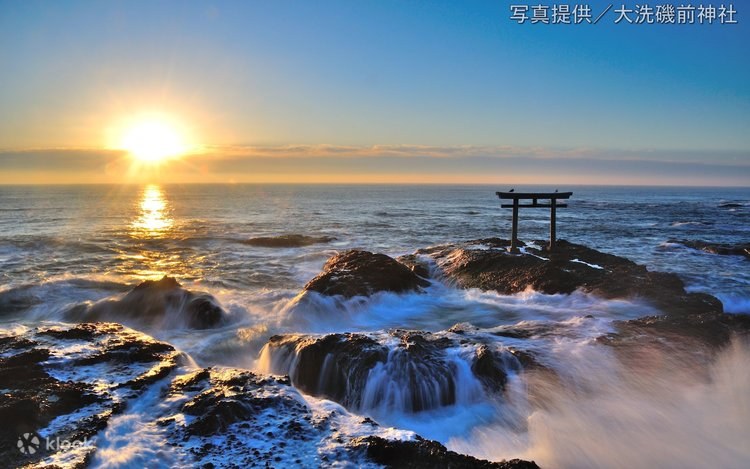 Private Full-Day Ibaraki Discovery: Oarai & Beyond