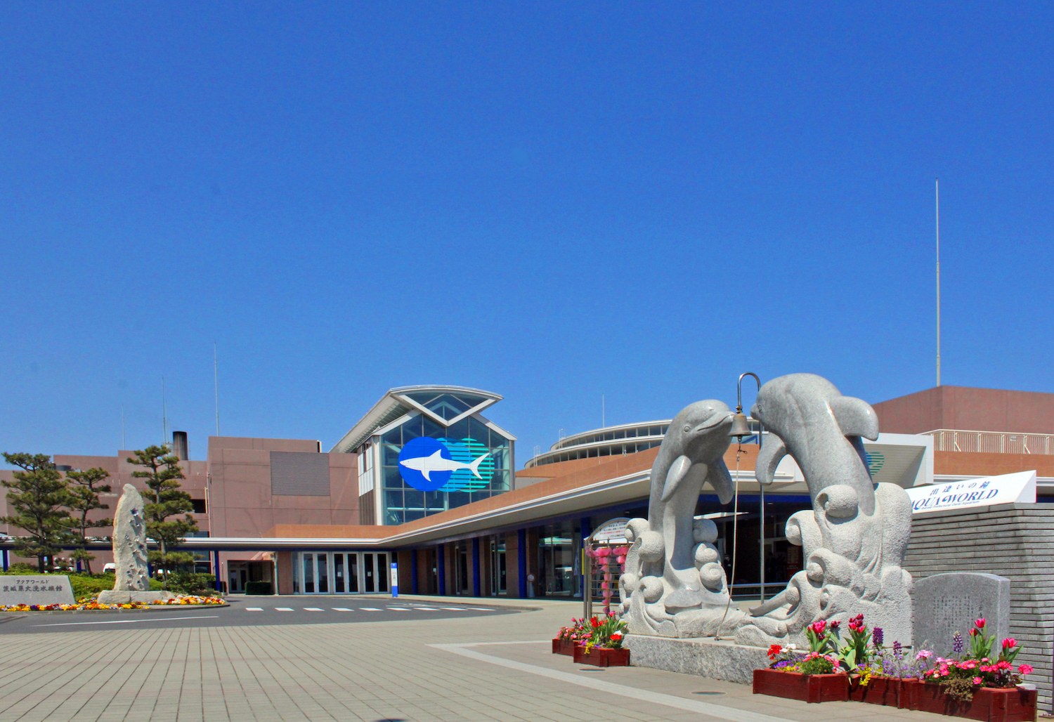 Aqua World Oarai: Japan's Largest Aquarium & Shark Seas