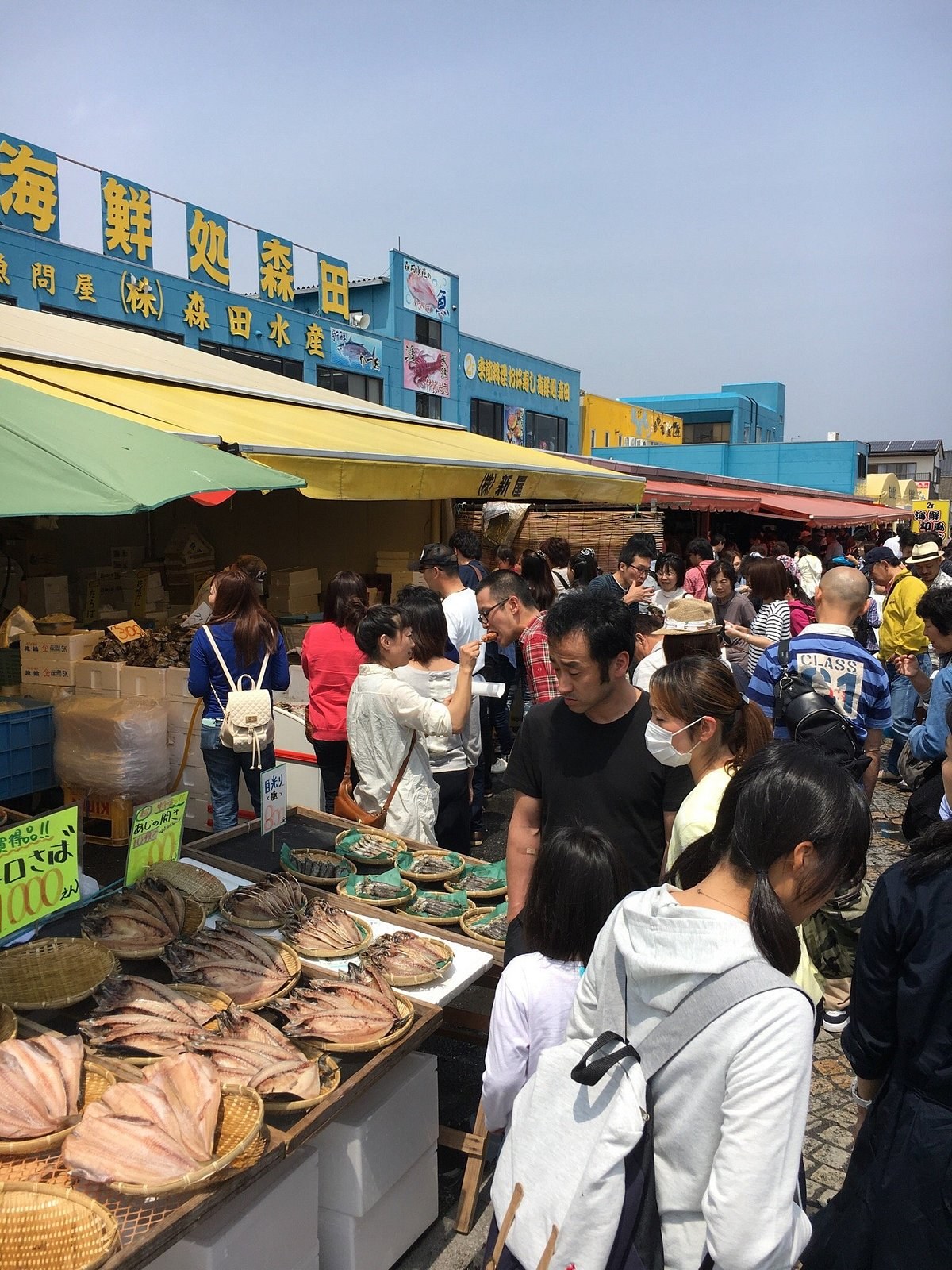 Nakaminato Fish Market: Luxe Seafood Breakfast & Market Walk