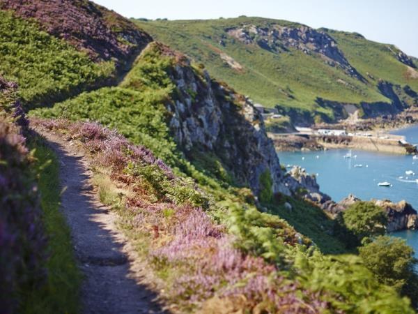 Jersey's North Coast: Private Half-Day Scenic & Cliffpath Drive